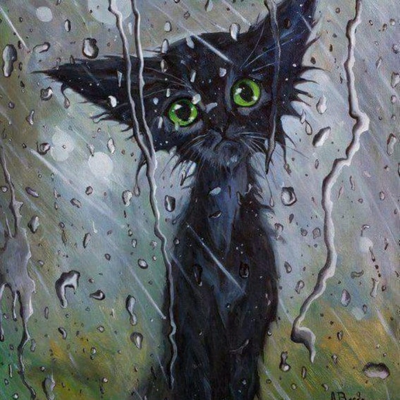 Meet your Posher, Fortuna - Picture 1 of 2